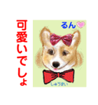 赤いりぼんの輪を広げたいワン⑨（個別スタンプ：3）