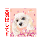 赤いりぼんの輪を広げたいワン⑨（個別スタンプ：7）