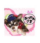 赤いりぼんの輪を広げたいワン⑨（個別スタンプ：9）