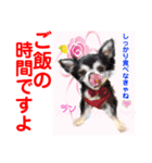 赤いりぼんの輪を広げたいワン⑨（個別スタンプ：10）