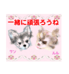 赤いりぼんの輪を広げたいワン⑨（個別スタンプ：11）