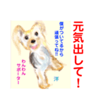 赤いりぼんの輪を広げたいワン⑨（個別スタンプ：13）