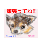 赤いりぼんの輪を広げたいワン⑨（個別スタンプ：17）