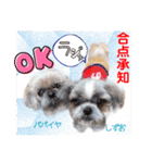 赤いりぼんの輪を広げたいワン⑨（個別スタンプ：19）