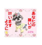 赤いりぼんの輪を広げたいワン⑨（個別スタンプ：20）