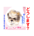 赤いりぼんの輪を広げたいワン⑨（個別スタンプ：25）