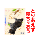 赤いりぼんの輪を広げたいワン⑨（個別スタンプ：29）