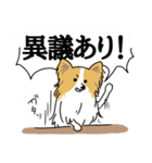 犬！犬！犬～大好き～！！（個別スタンプ：22）