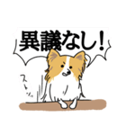 犬！犬！犬～大好き～！！（個別スタンプ：23）