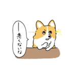 犬！犬！犬～大好き～！！（個別スタンプ：36）