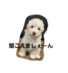 ぽったんの日常（個別スタンプ：1）