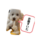 ぽったんの日常（個別スタンプ：7）