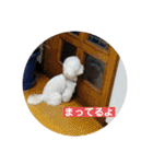 ぽったんの日常（個別スタンプ：9）
