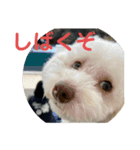 ぽったんの日常（個別スタンプ：10）