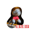 ぽったんの日常（個別スタンプ：22）