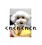 ぽったんの日常（個別スタンプ：23）