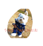 ぽったんの日常（個別スタンプ：29）