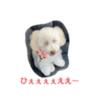ぽったんの日常（個別スタンプ：30）