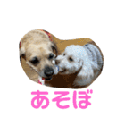 ぽったんの日常（個別スタンプ：35）