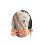 ぽったんの日常（個別スタンプ：39）