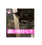 ねこのカワウソちゃん pt2（個別スタンプ：4）