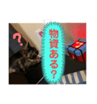 ねこのカワウソちゃん pt2（個別スタンプ：6）