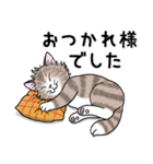 こねこコンビの秋スタンプ（個別スタンプ：32）