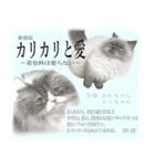 えぐいかわいい猫ちゃん ルナとヨリ（個別スタンプ：5）