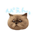 えぐいかわいい猫ちゃん ルナとヨリ（個別スタンプ：6）