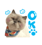 えぐいかわいい猫ちゃん ルナとヨリ（個別スタンプ：7）
