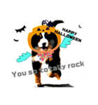【英語版】可愛い超大型犬ハロウィン X'mas（個別スタンプ：2）