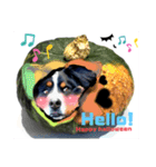 【英語版】可愛い超大型犬ハロウィン X'mas（個別スタンプ：14）