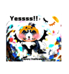【英語版】可愛い超大型犬ハロウィン X'mas（個別スタンプ：17）