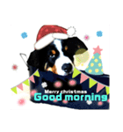 【英語版】可愛い超大型犬ハロウィン X'mas（個別スタンプ：19）