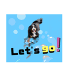 【英語版】バーニーズ55kg可愛いバディ（個別スタンプ：32）