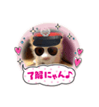 チャトラ 保護猫2週間～フレーム日常（個別スタンプ：8）