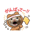 チャトラ 保護猫2週間～フレーム日常（個別スタンプ：23）