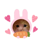 チャトラ 保護猫2週間～フレーム日常（個別スタンプ：26）