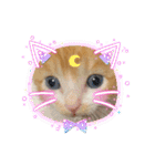 チャトラ 保護猫2週間～フレーム日常（個別スタンプ：29）