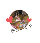 姫來々♡（個別スタンプ：19）