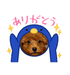 わきざかそらくん（個別スタンプ：22）