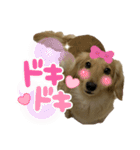 みるちゃんスタンプ③（個別スタンプ：3）