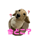 みるちゃんスタンプ③（個別スタンプ：20）