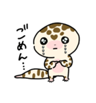ヒョウモンオオトカゲモドキのチョロちゃん（個別スタンプ：4）