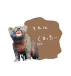 タキマサスタンプ（個別スタンプ：7）