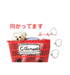 ぽぽちタイム（個別スタンプ：1）