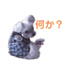 ぽぽちタイム（個別スタンプ：12）