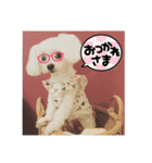 ぽぽちタイム（個別スタンプ：13）