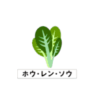 割と使いやすいタイポグラフィと落書き3（個別スタンプ：15）