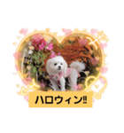 LUNA＆SEAです～10月ルナ編（個別スタンプ：1）